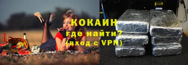 дурь Магас