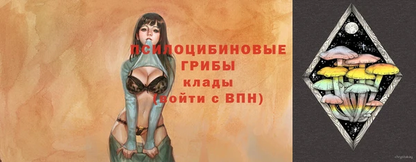 дурь Магас