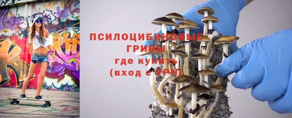 прущие крисы Магадан