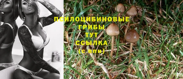 прущие крисы Магадан