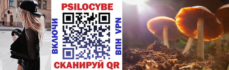 Галлюциногенные грибы Psilocybe  Таштагол 